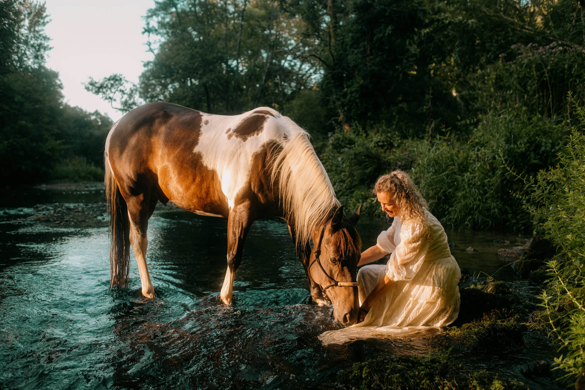 Voir les photos équestres, canines et félines d'animaux de compagnie de Clément Racineux, photographe à Lannion, Brest, Rennes, Saint Brieuc, Bretagne