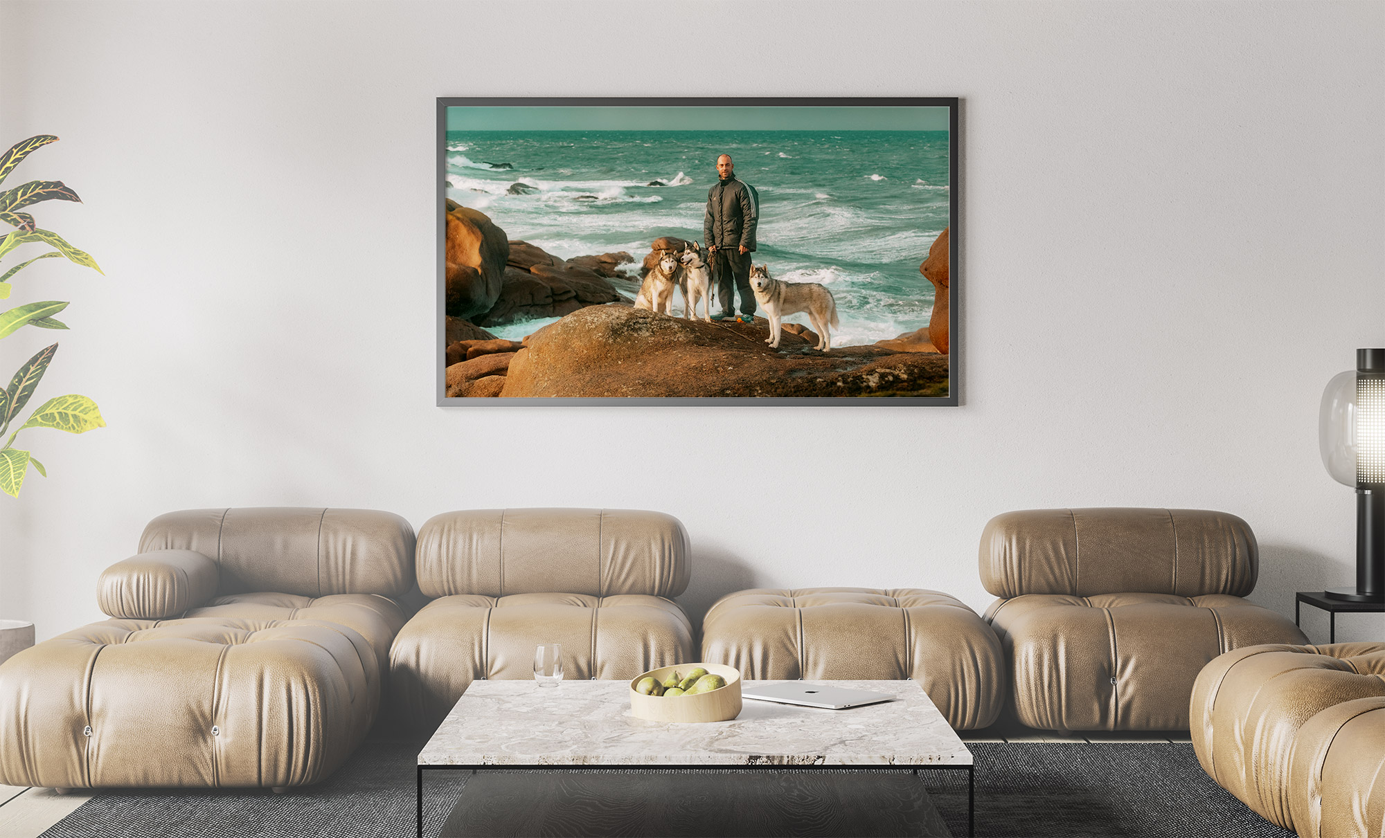 L'Homme et l'Animal - Photographe animalier canin, félin, équin à Perros-Guirec et Lannion, Côtes d'Armor, Bretagne