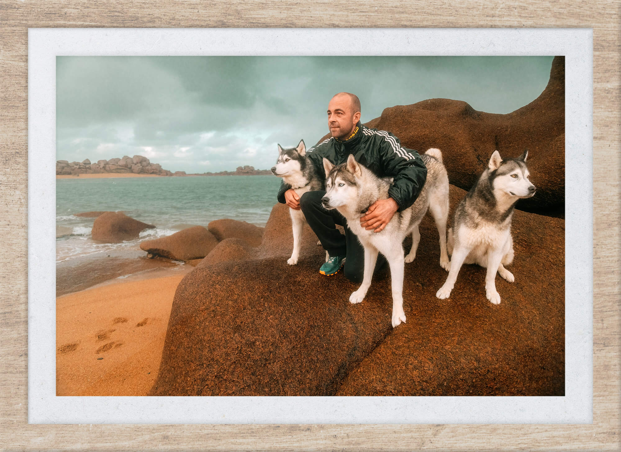 L'Homme et l'Animal - Photographe animalier canin à Perros-Guirec et Lannion, Côtes d'Armor, Bretagne