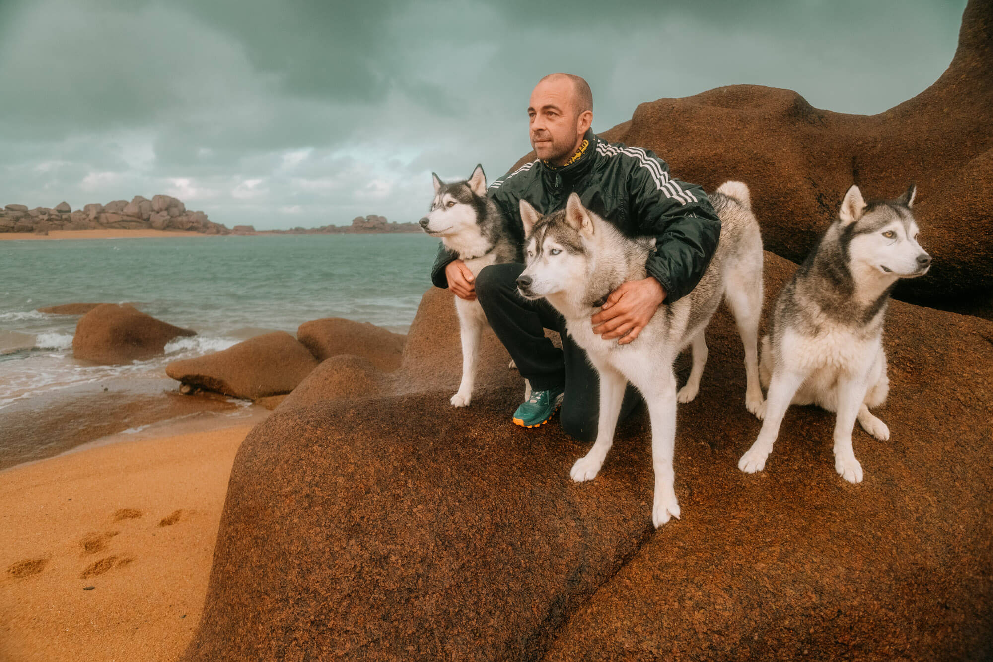 L'Homme et l'Animal - Photographe animalier canin, félin, équin à Perros-Guirec et Lannion, Côtes d'Armor, Bretagne
