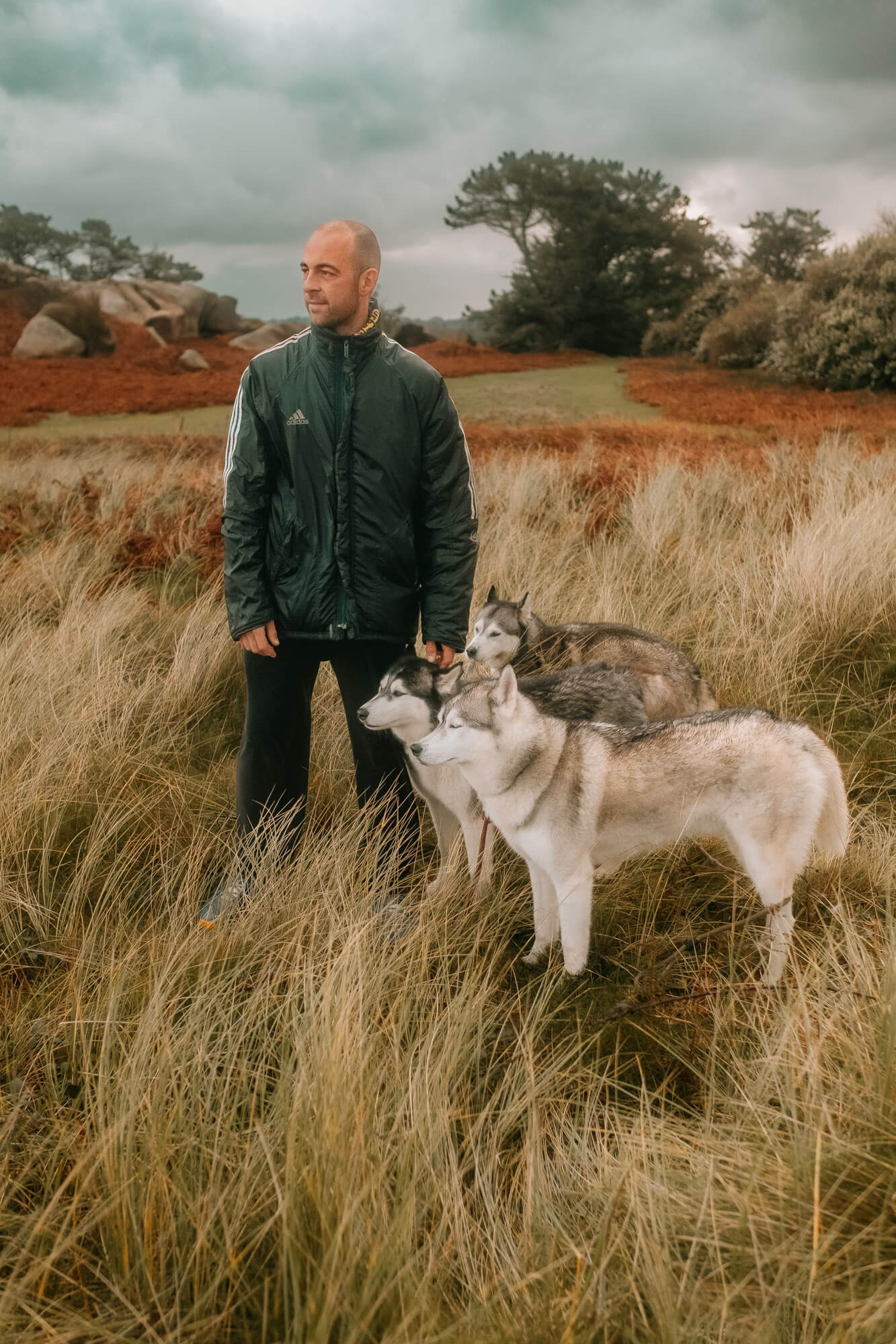 L'Homme et l'Animal - Photographe animalier canin, félin, équin à Perros-Guirec et Lannion, Côtes d'Armor, Bretagne