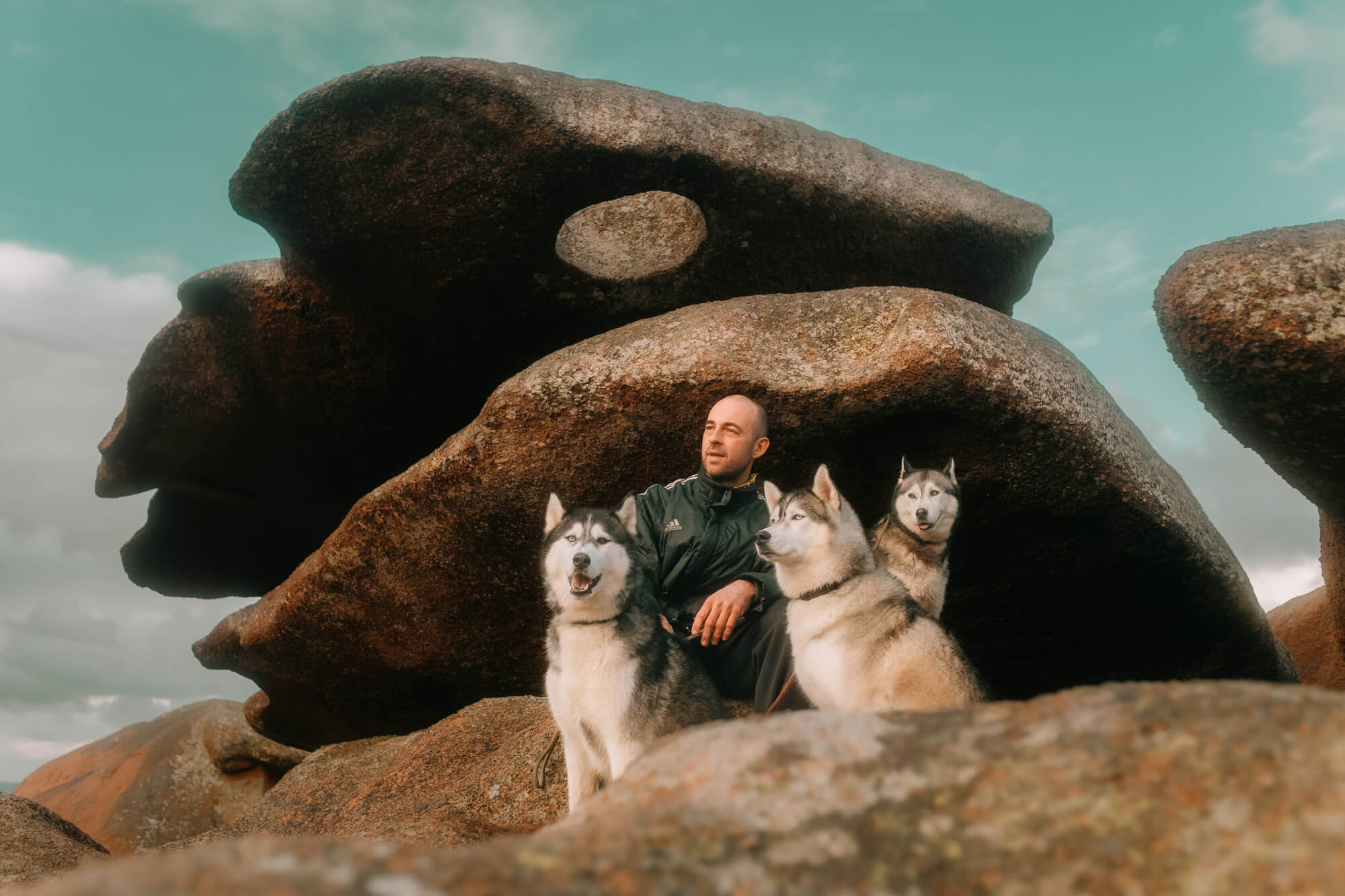 L'Homme et l'Animal - Photographe animalier canin, félin, équin à Perros-Guirec et Lannion, Côtes d'Armor, Bretagne